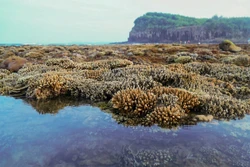 越南旅游：独特的燕礁——“地上水宫”