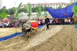 越南宣光省隆东节热闹登场