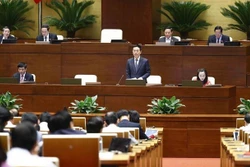 越南第十五届国会第四次会议：国会对信息与传媒领域问题进行质询