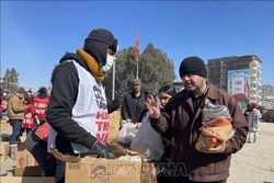 越南红十字会为受地震影响的土耳其和叙利亚人民筹集善款