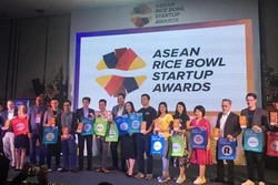 越南12名创业者将参加东盟Rice Bowl创业奖总决赛