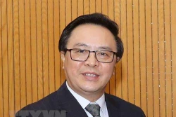 越共中央对外部部长黄平君：阮富仲此访开辟了越法和越古关系更美好前景