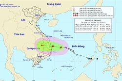 越南2019年第五号台风或变强 在广义至庆和省登陆