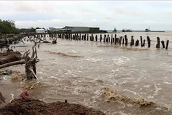 坚江省遭强降雨袭击 经济损失可达逾770亿越盾