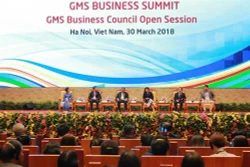 GMS商务峰会为加强地区和世界各国企业对接作出贡献