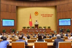 越南第十四届国会第六次会议：重点讨论司法工作