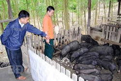 平定省云耕县致力于打造地方名牌