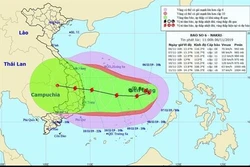 越南2019年第6号台风：10级阵风向东部转移