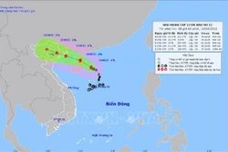 越南今年第二号台风直冲海防、广宁沿海地区