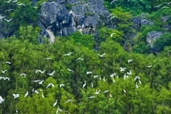 加强国际合作 促进生物多样性