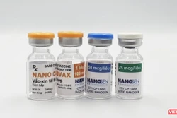 尽快完善有关紧急批准使用新冠疫苗Nanocovax的文件