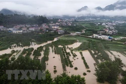 阮春福就中国遭受严重洪涝灾害致电中国国务院总理李克强表示慰问