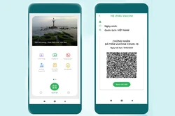 越南拟自4月15日起签发“疫苗护照”