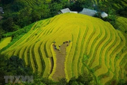 在线旅游体验——河江旅游的新方向