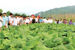 河内市注重民族和山区新农村建设