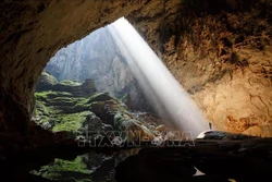 旅游业数字化变革：各地方主动制定旅游业数字化转型计划