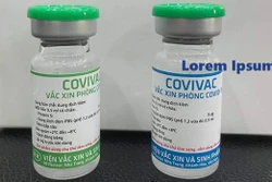 越南新冠疫苗Covivac完成一期临床试验