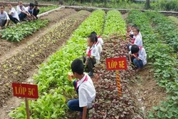 校园农场模式让学生吃得放心吃得开心