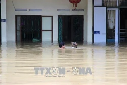 北部山区各省遭特大暴雨洪水袭击 政府总理指导抓紧做好救灾工作