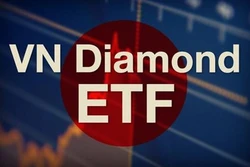 VFMVN Diamond ETF基金会今日成功上市