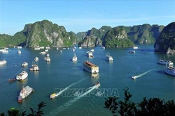 越南海洋与岛屿：海洋旅游在越南海洋战略中的地位