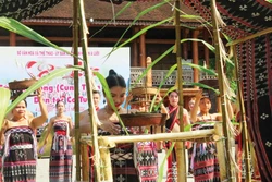 再现戈都族同胞的山神祭祀仪式。图自越通社